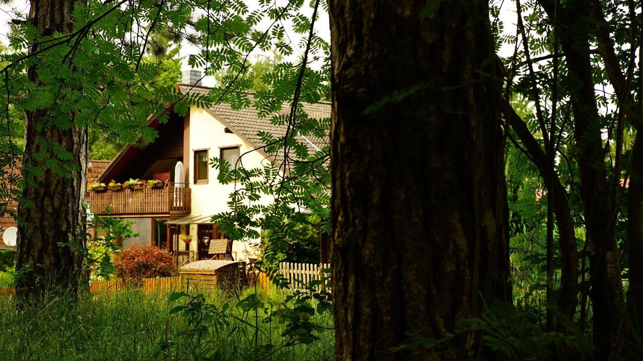 Ferienwohnung Im Wald Mit Kamin باد هازبرغ المظهر الخارجي الصورة