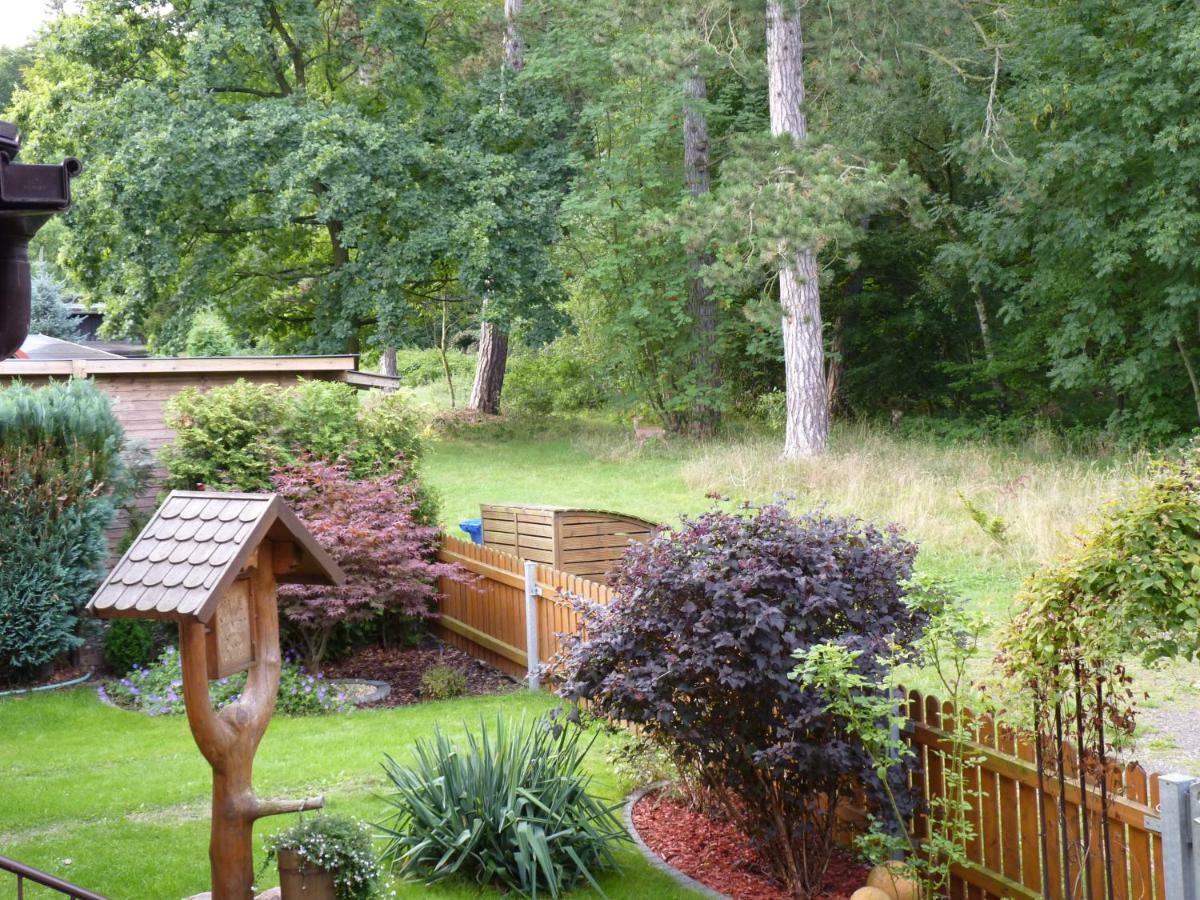 Ferienwohnung Im Wald Mit Kamin باد هازبرغ المظهر الخارجي الصورة